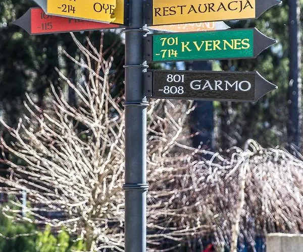 Silence Borguno 06 Szklarska Poręba